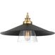 Segan 1 Light 20 inch Coal & Soft Brass (Painted) Pendant Ceiling Light, Outdoor