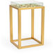 Shayla Copas 25 X 16 inch Clear/Gold/Gold/Light Green Side Table