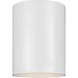 Outdoor Cylinders LED 5.13 inch White Outdoor Flush Mount