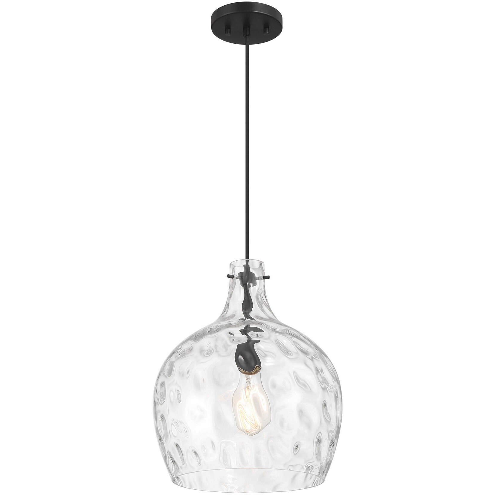 Coastal 1 Light 12.75 inch Matte Black Pendant Ceiling Light