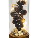 Vino Clear with Antique Bronze and Brown Bottle Lighting