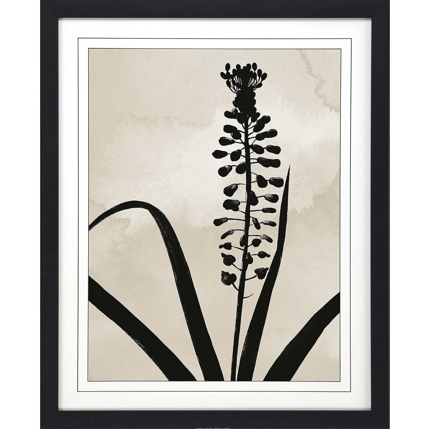 Dianella Muscari Black and Beige Framed Art