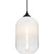 Omega 12 1 Light Black Outdoor Pendant