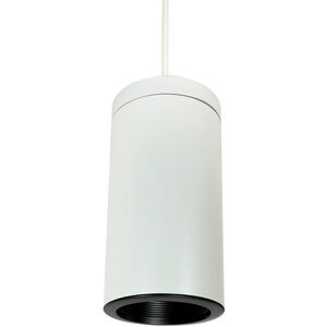 Line Voltage 1 Light 8 inch Black with Black and White Pendant Mount Cylinder Ceiling Light in Black / Black / White