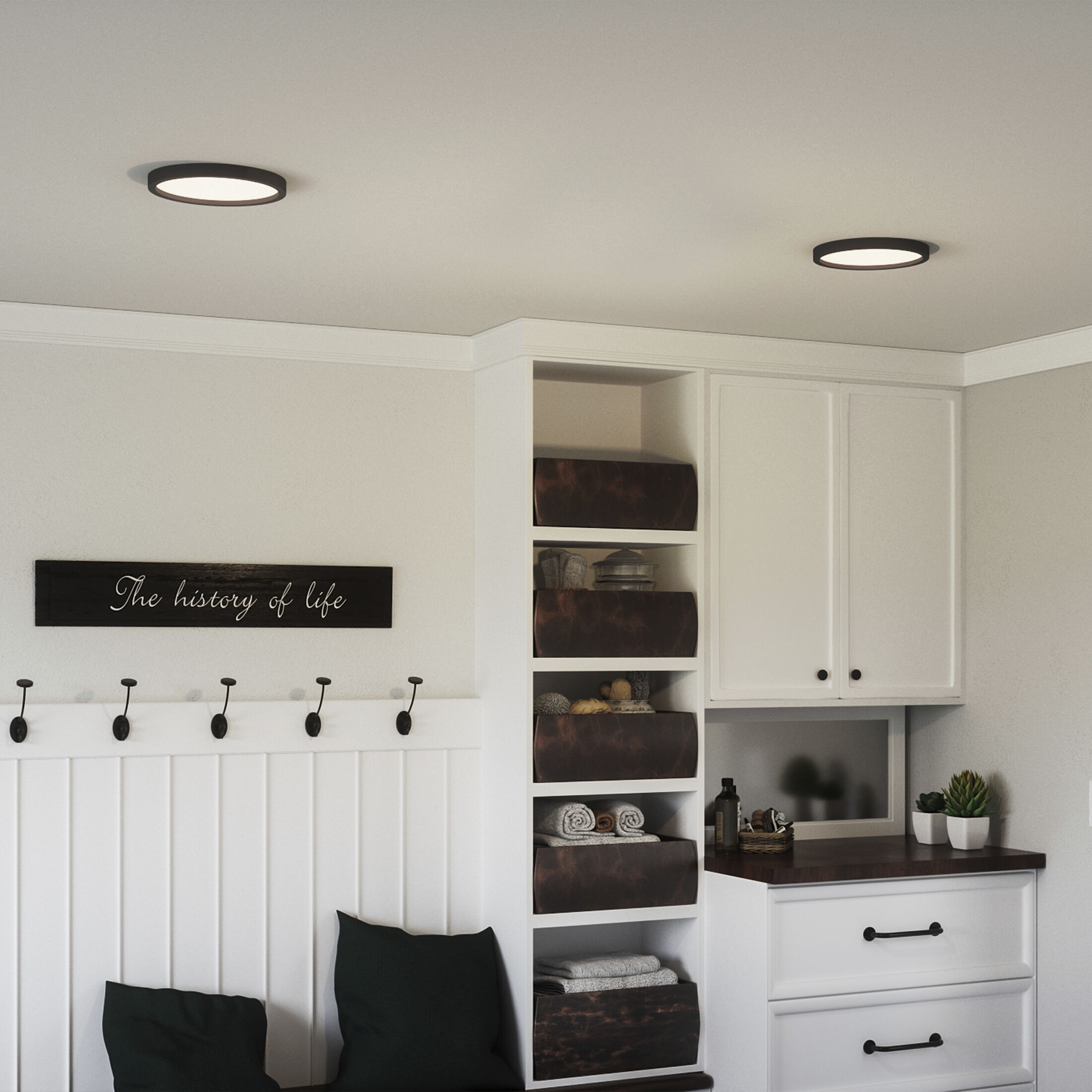 Outskirts 11 inch Earth Black Flush Mount Ceiling Light