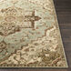 Paramount 35 X 22 inch Sage Rug in 2 x 3, Rectangle