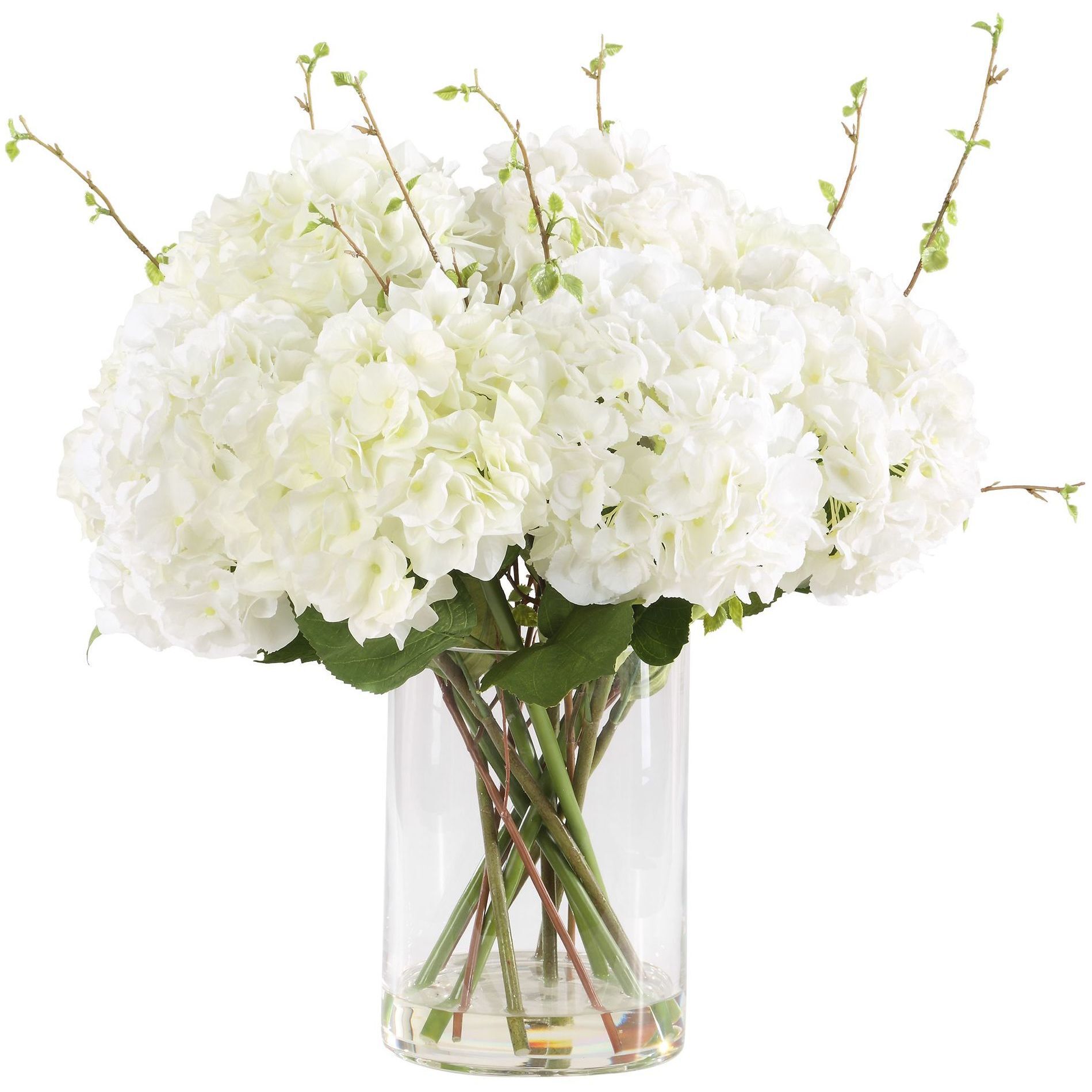 Anastasia Hydrangea Cream Hydrangeas and Natural Foliage Centerpiece