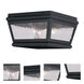 Exeter 2 Light 8 inch Black Outdoor Flush Mount