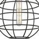 Lake Placid 1 Light 10 inch Satin Gold Pendant Ceiling Light