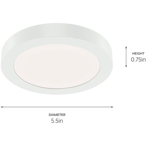 Ara White Downlight