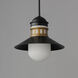 Admiralty LED 12 inch Black and Antique Brass Outdoor Pendant in Antique Brass and Black