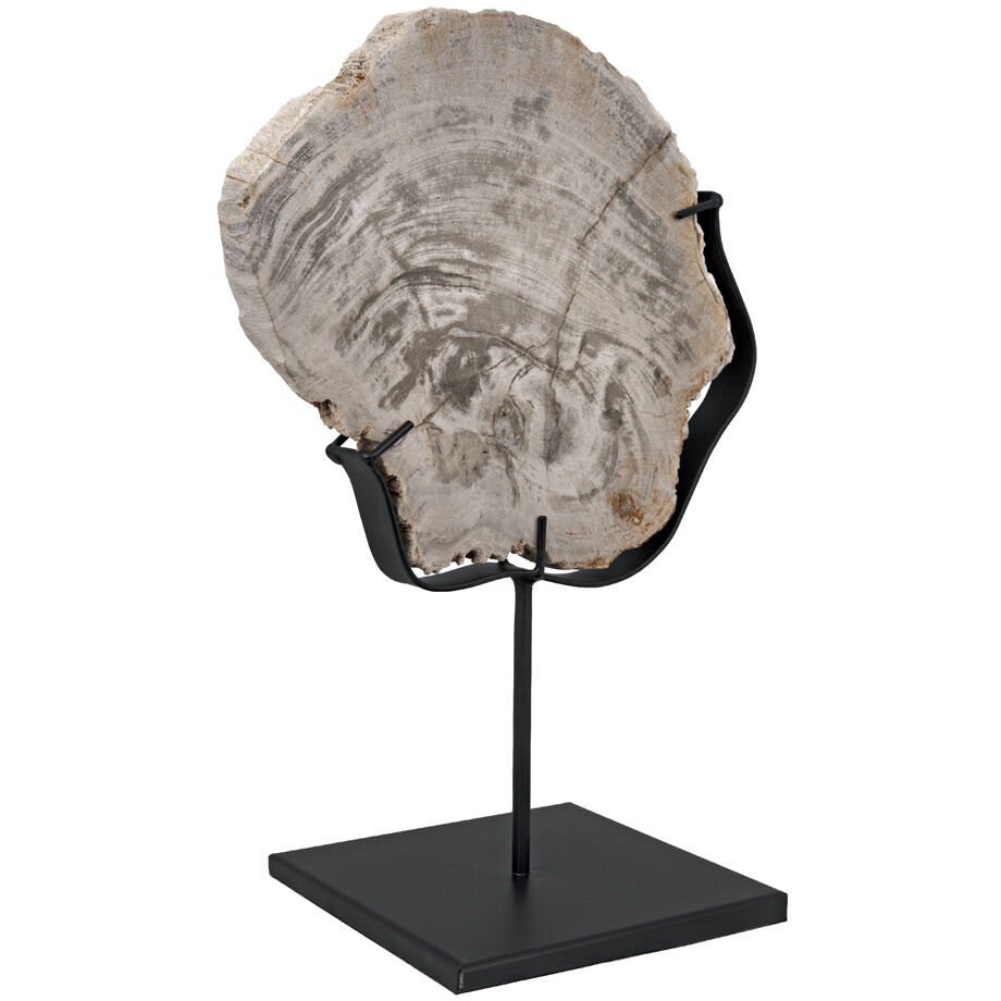 Wood Fossil Matte Black Statue