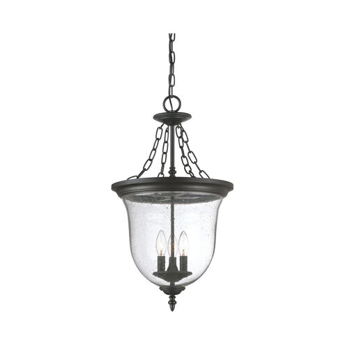 Belle 3 Light 14 inch Matte Black Exterior Hanging Lantern