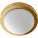 Contempo 2 Light 11 inch Aged Brass Flush Mount Ceiling Light 