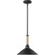 Journey 1 Light 12 inch Natural Black Pendant Ceiling Light