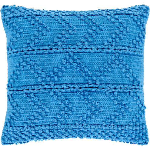 Merdo 18 X 18 inch Sky Blue Pillow Cover, Square