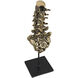 Vertebrae Antique Brass with Matte Black Decor Accessory