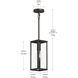 Ryle 1 Light 5.5 inch Antique Bronze Outdoor Pendant Light