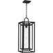 Jayce 1 Light 9 inch Matte Black Outdoor Hanging Lantern