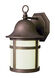 Thomas 1 Light 13 inch Weathered Bronze Outdoor Wall Lantern