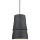Castor Pendant Ceiling Light in Black