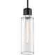 Zigrina 1 Light 5.88 inch Satin Brushed Black with Polished Nickel Pendant Ceiling Light
