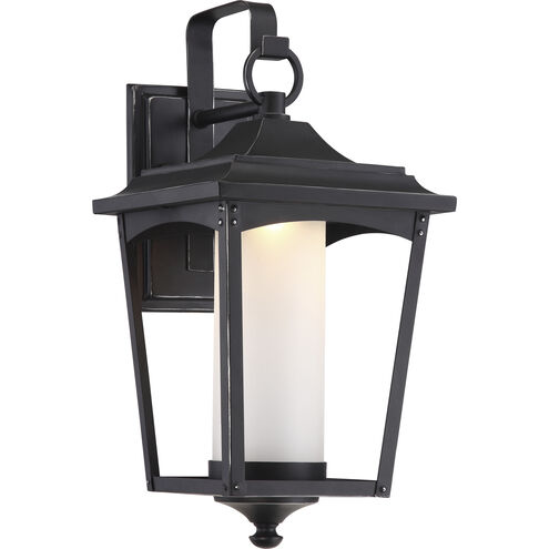 Essex LED 17 inch Sterling Black Outdoor Wall Light