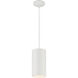 Pilson XL 6.00 inch Pendant