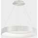 Corso LED 31.5 inch Brushed Aluminum Pendant Ceiling Light, dweLED