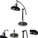 Springdale 19 inch 7.50 watt Polished Nickel Desk Lamp Portable Light