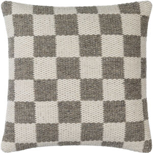 Preethi 20 X 20 inch Ivory/Brown Accent Pillow