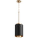 Fort Worth 1 Light 8 inch Noir and Aged Brass Mini Pendant Ceiling Light