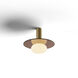 Combi LED 9 inch Brass Pendant Ceiling Light in Tea Brown Glass, Suspension / Flush Mount 2-in-1