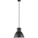 Division Street 1 Light 15 inch Stardust Pendant Ceiling Light