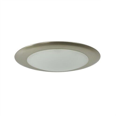 Opal Natural Metal Surface Mounted Light in 3000K