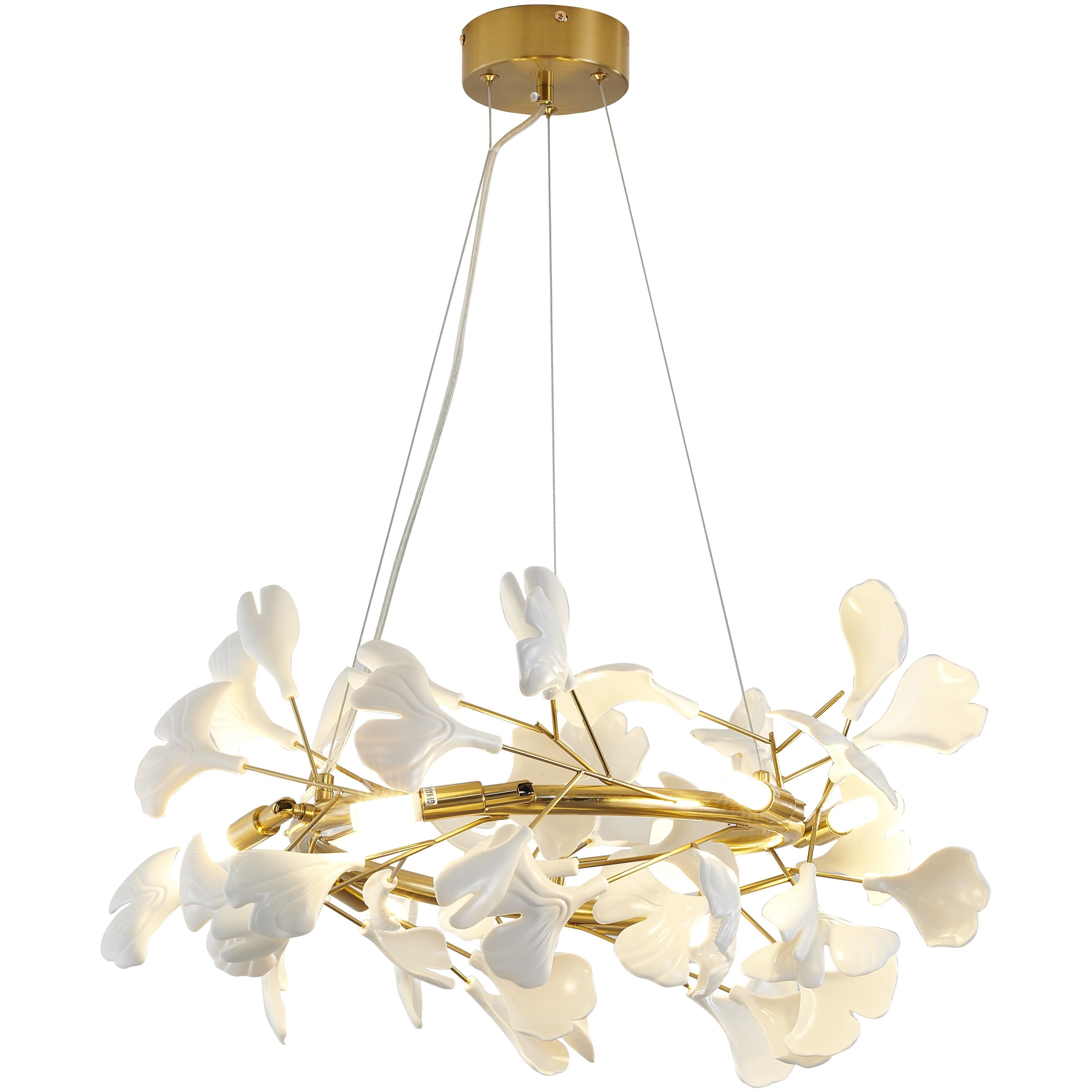 Canada 6 Light 23.62 inch Brass and Matte White Chandelier Ceiling Light