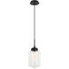 Irresistible Organic Charm 1 Light 7.13 inch Clear Pendant Ceiling Light