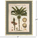 Palm Study I Green and Beige and Brown Framed Art