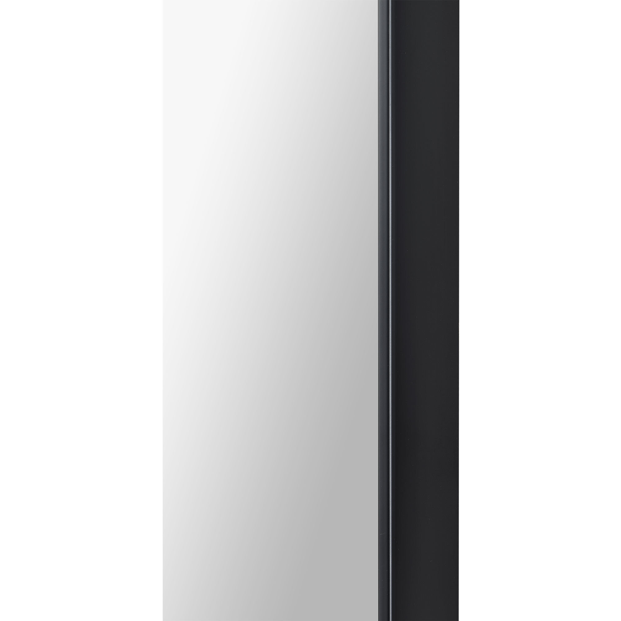 Farida 82 X 46 inch Matte Black Mirror