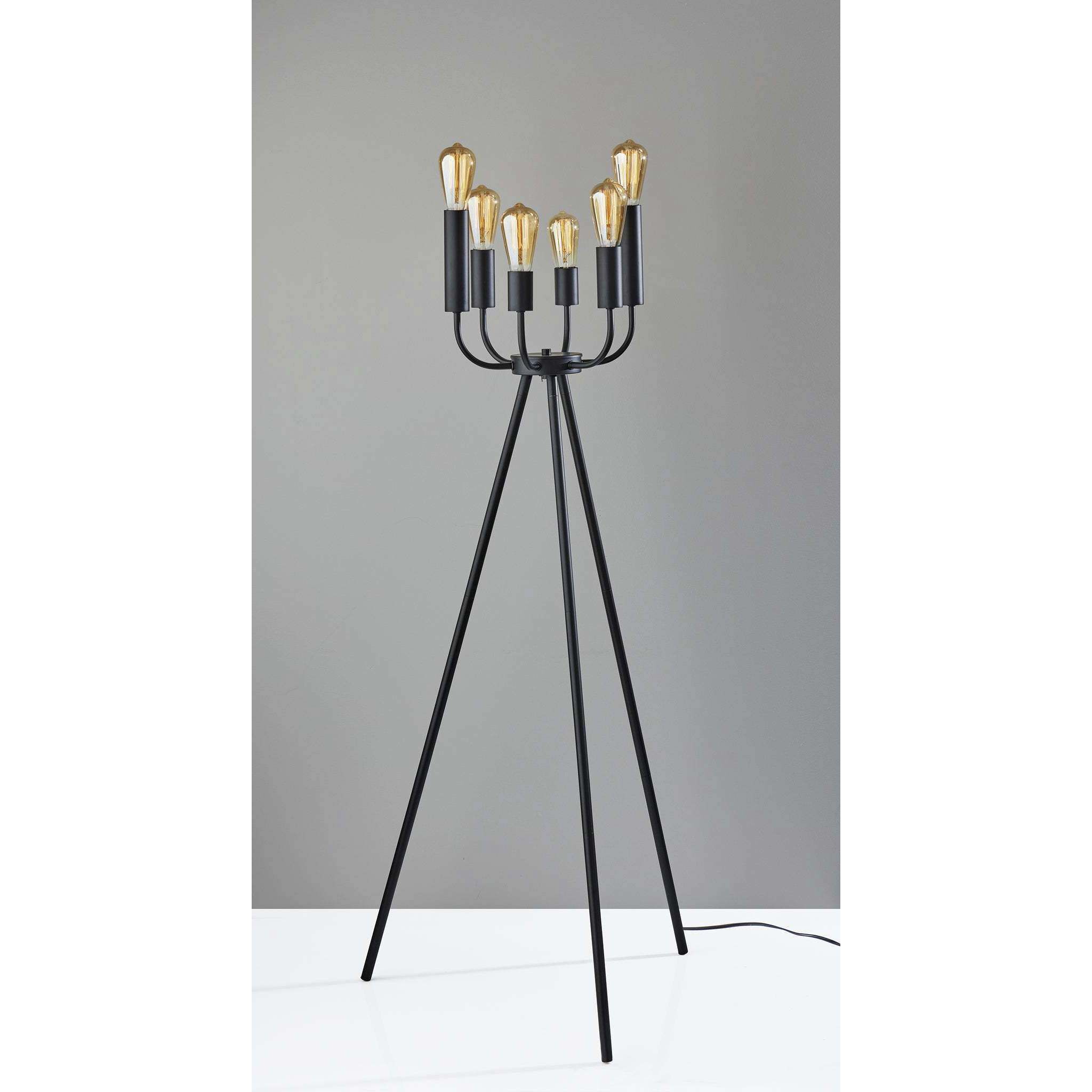 Rory 55 inch 240.00 watt Black Floor Lamp Portable Light