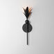 Paloma 1 Light 4.75 inch Anthracite Wall Sconce Wall Light