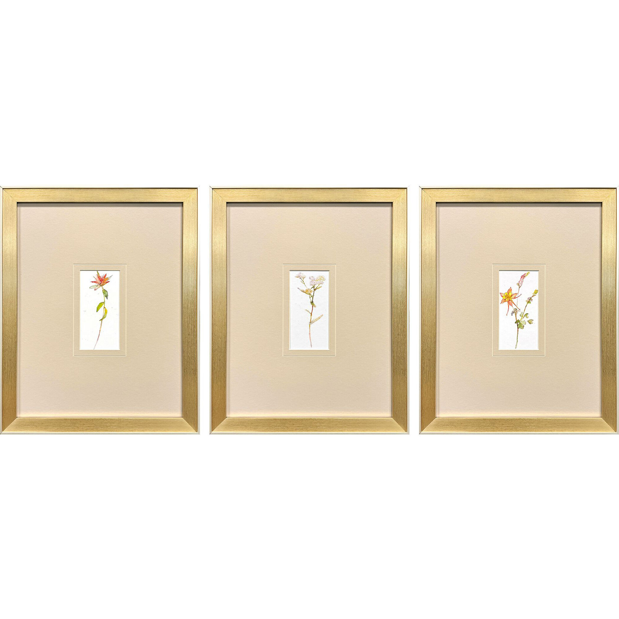 Pretty Florals Multi and Pink and Purple and Yellow Framed Art, Propac