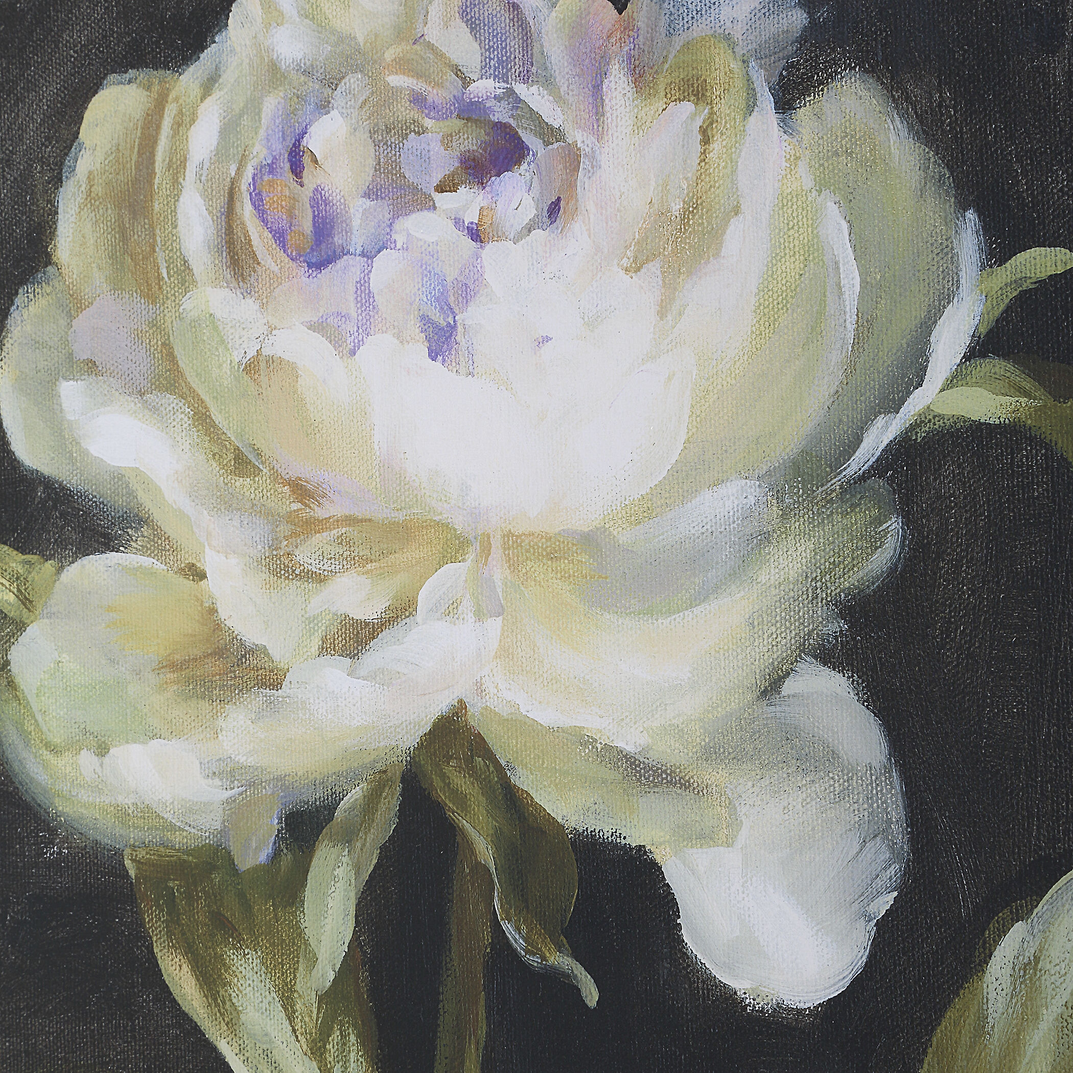 Florals On Black 26 X 20 inch Framed Prints, Set of 4