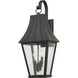 Chateau Grande 4 Light 28 inch Coal/Gold Outdoor Wall Light, Great Outdoors