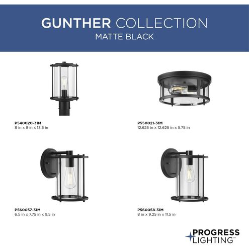 Gunther 2 Light 12.63 inch Matte Black Flushmount Ceiling Light
