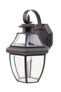 Glass House 1 Light 13 inch Weathered Bronze Outdoor Wall Lantern