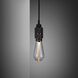 Hooked Wall Light in Graphite / Smoked Bronze, Nude