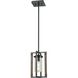 Okanagan 1 Light 7 inch Graphite and Birchwood Mini-Pendant Ceiling Light