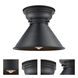 Aditi Briarcliff 1 Light 10 inch Matte Black Flush Mount Ceiling Light, Aditi