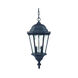 Telfair 2 Light 10 inch Matte Black Exterior Hanging Lantern